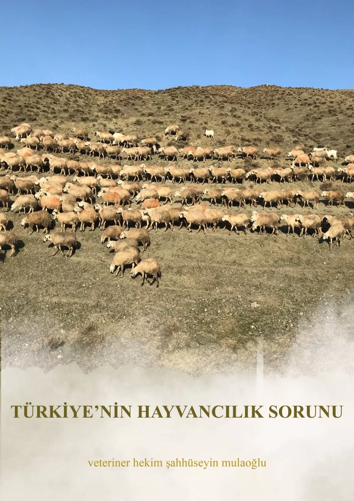 TÜRKİYE’NİN HAYVANCILIK SORUNU